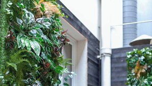 A modern building with a vertical garden on the exterior wall, a small potted plant on the ground, and a metal structure in the background. - Hotel Tinah: Elegance and Comfort Near the Champs-elysees (Paris)