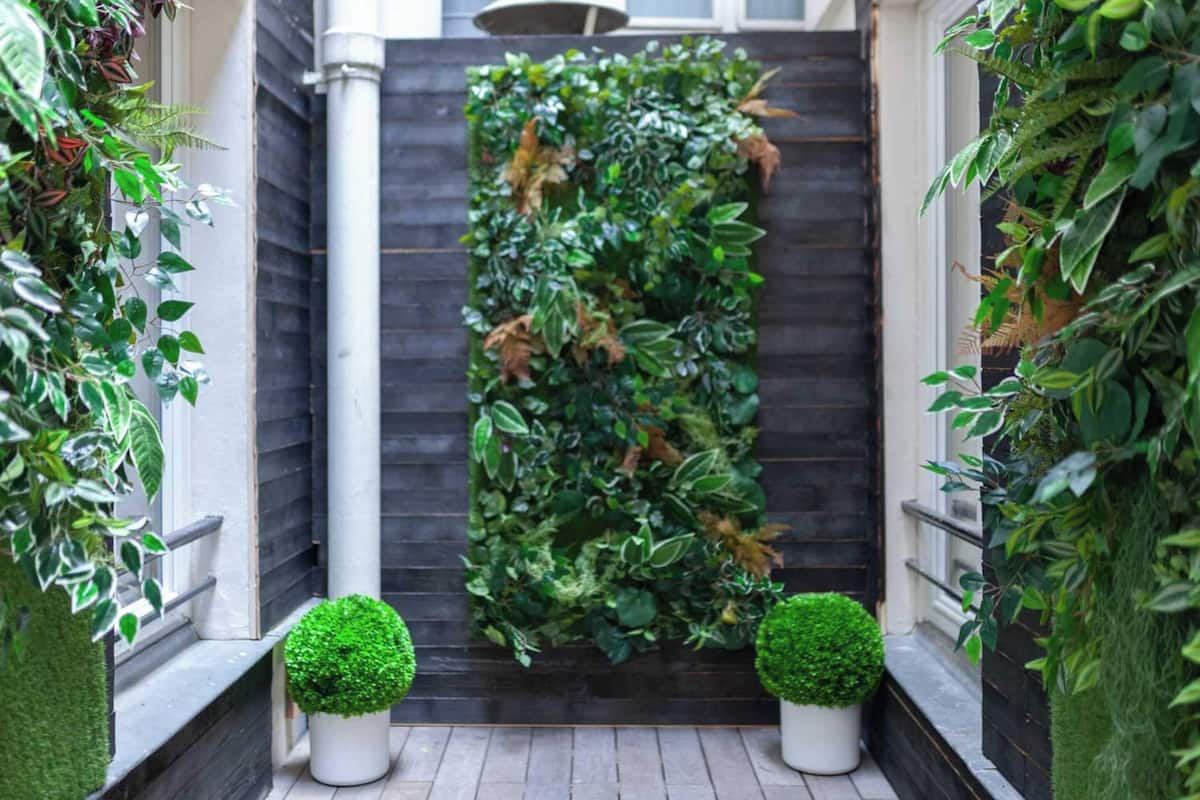 A narrow outdoor corridor with a vertical garden wall, two potted topiary shrubs, and a dark wooden fence.