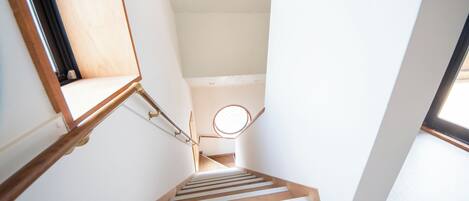 64-吋平面電視,提供數位頻道