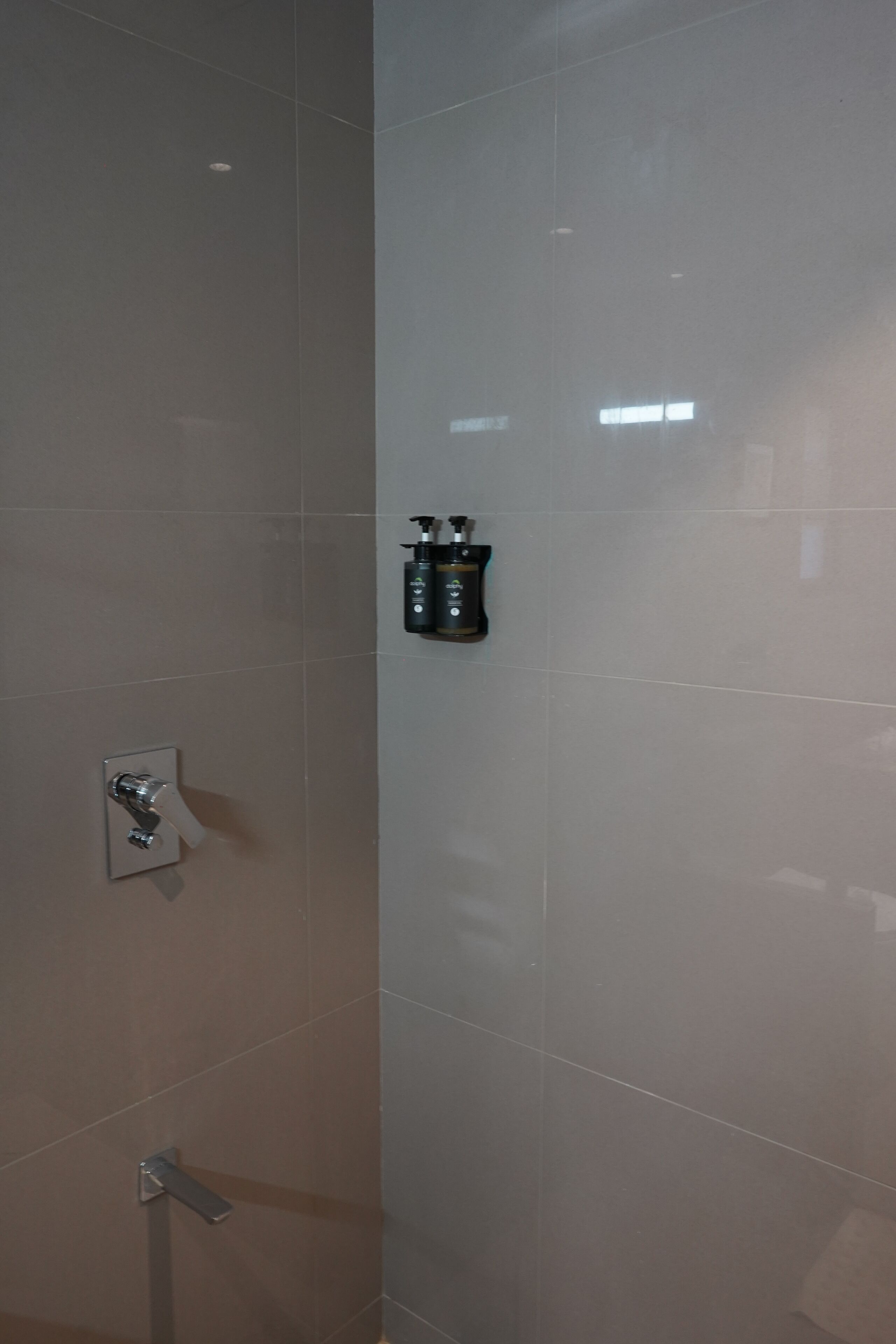 A bathroom with a shower, a toilet, and a soap dispenser on the wall.