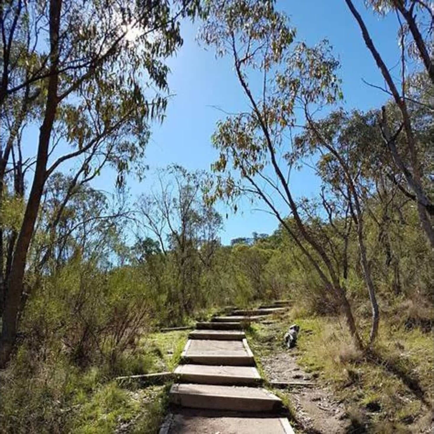 Mount Taylor Nature Reserve