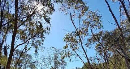 Cosy Kambah 1 Bedroom Near Shops & Parks