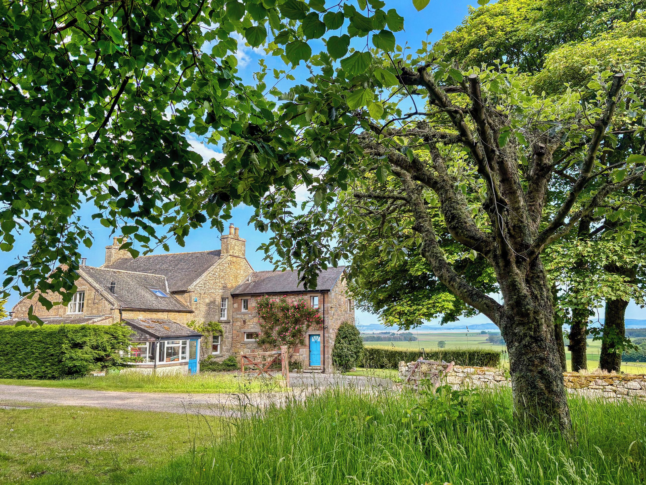 Une maison en pierre avec une porte bleue, entourée d’une végétation luxuriante et d’un grand arbre.