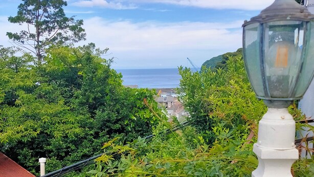 A lush green landscape with a view of the sea and a distant construction site.
