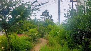A narrow stone pathway surrounded by lush greenery and flowering plants.