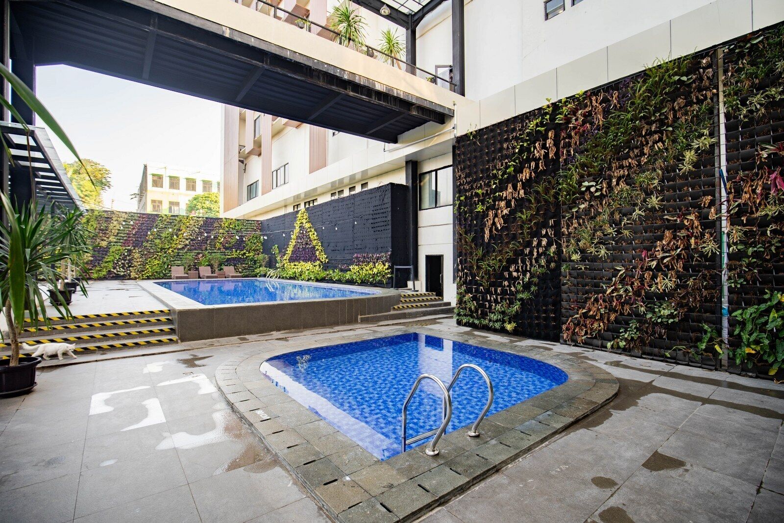 A swimming pool area with two pools, a covered walkway, and a vertical garden wall.