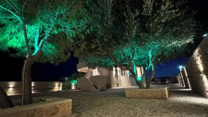 Un espacio exterior nocturno con árboles iluminados con luces verdes, un edificio de diseño moderno y un sendero de grava.