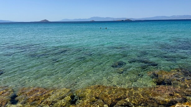 Vista despejada de una zona costera con costa rocosa y mar tranquilo.