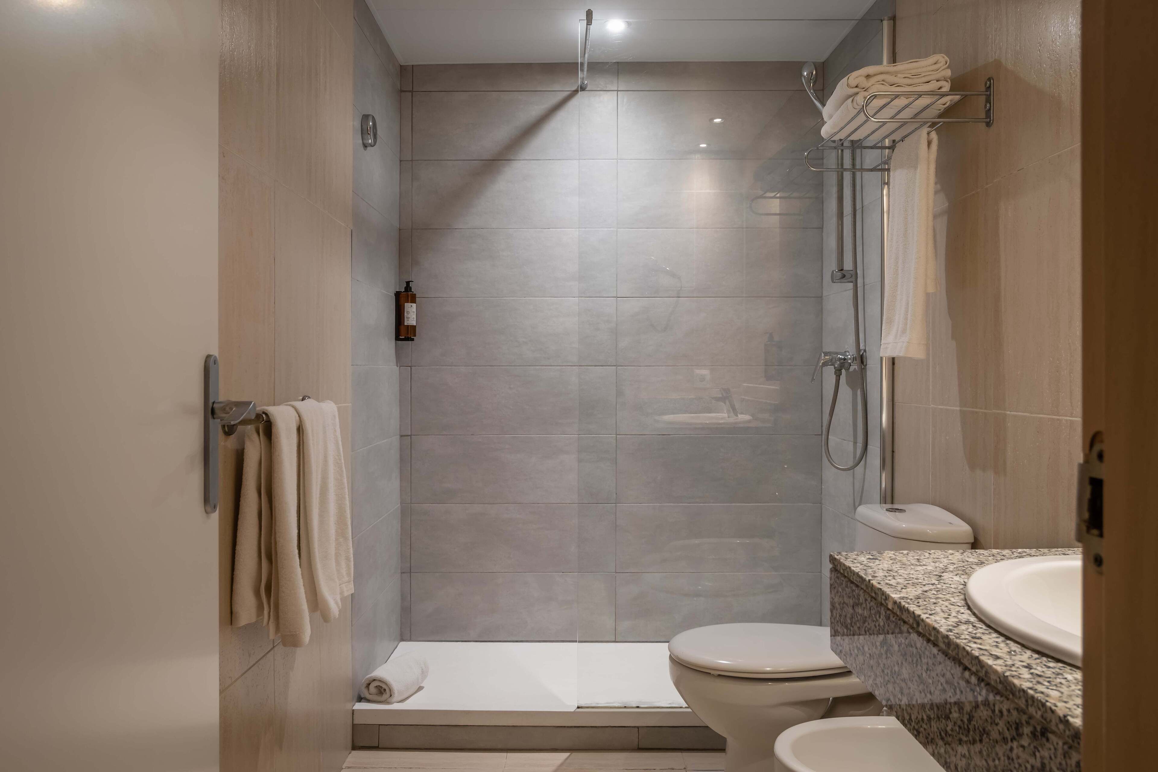 A modern bathroom with a walk-in shower, a toilet, and a sink.