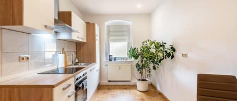 Fridge, oven, stovetop, coffee/tea maker