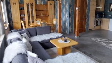 TV connectée, cheminée, lecteur de DVD, livres
