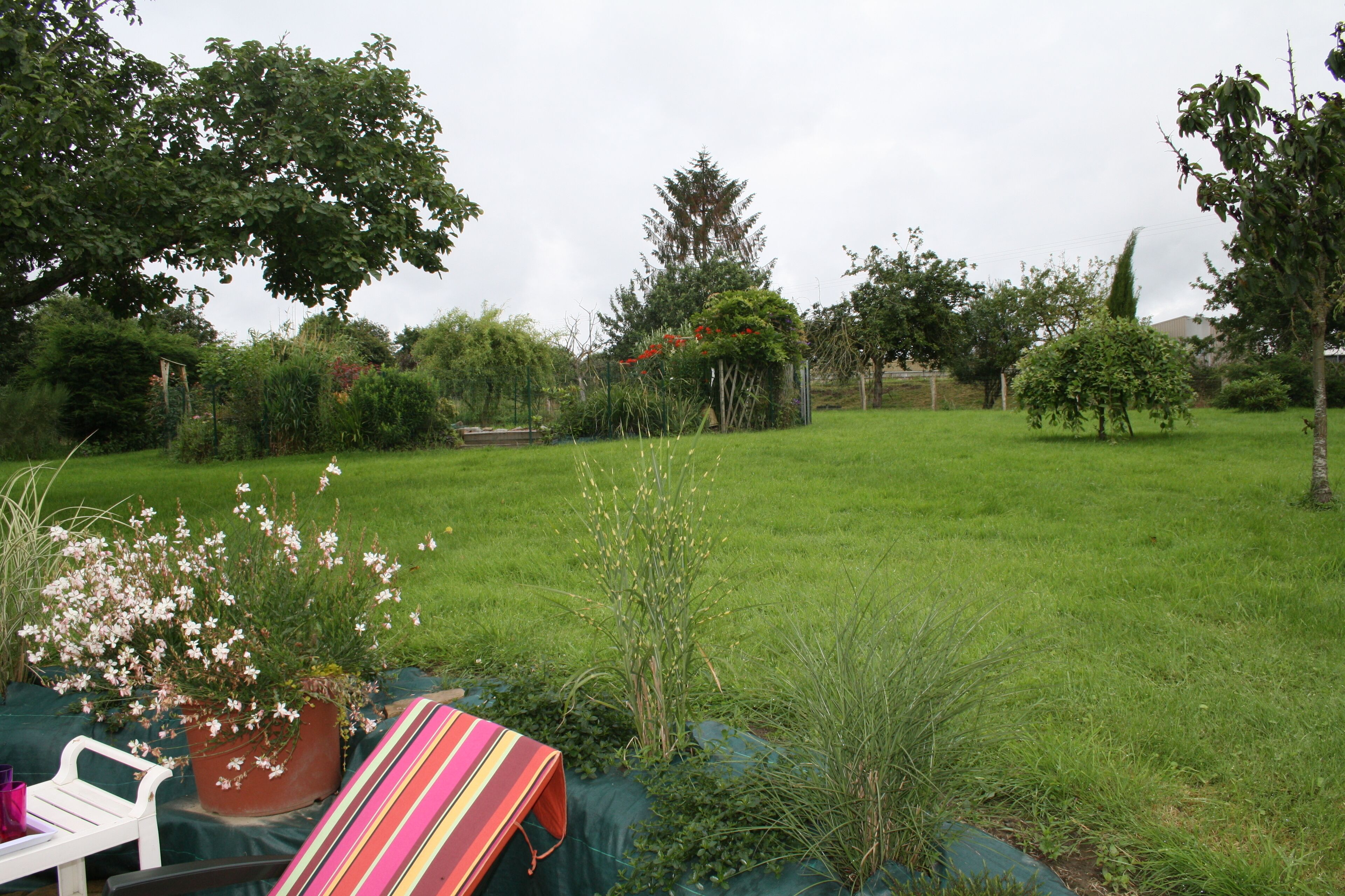 A grassy backyard with a variety of plants and a striped fabric item.
