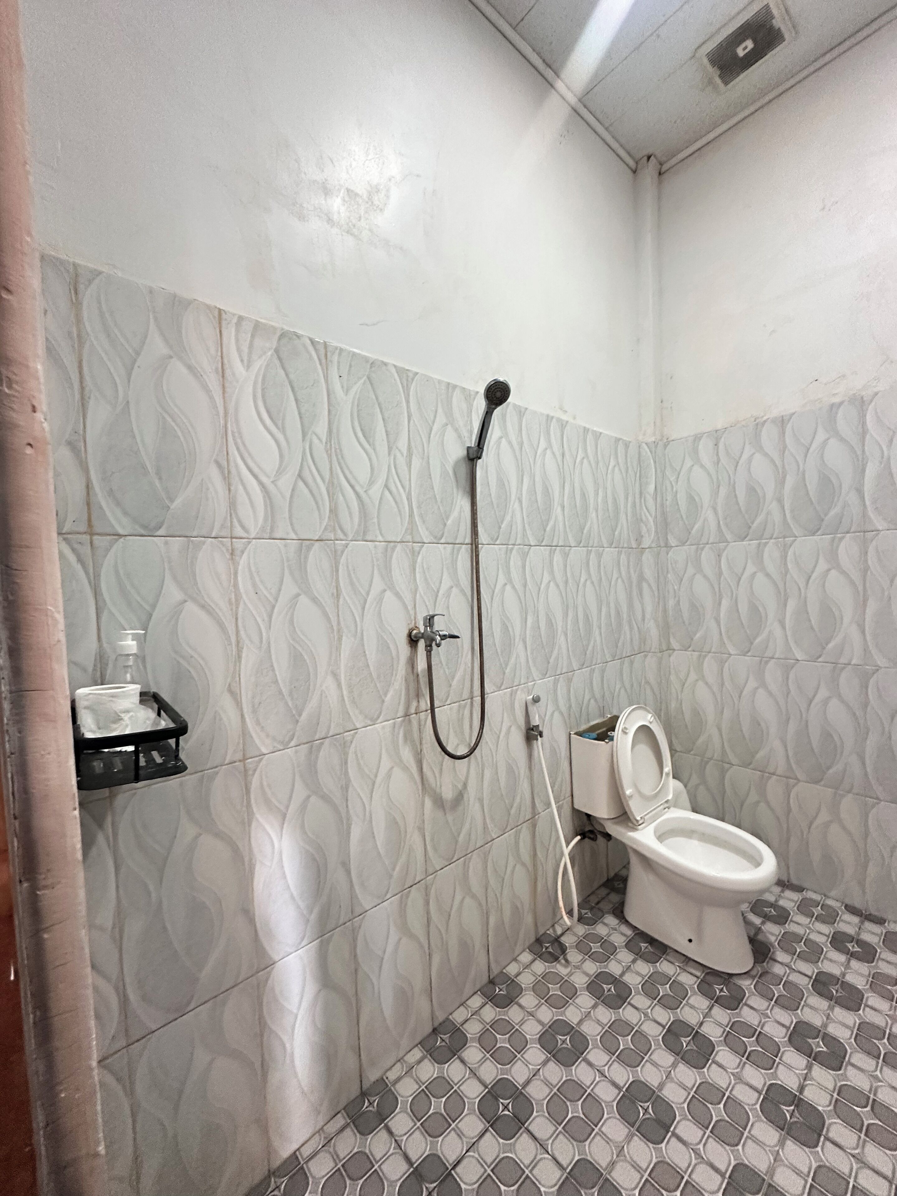 A bathroom with a toilet, a shower, and a hand soap dispenser on a shelf.