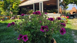 Un edificio con un letrero que dice 'Café & Yabancisi' y un jardín con flores moradas en primer plano.