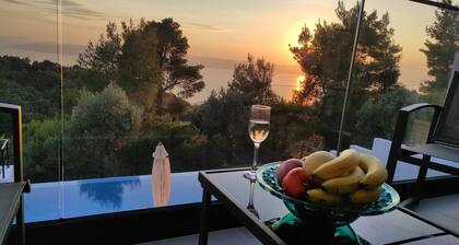 Allure luxury villa with private pool surrounded by pine and olive trees