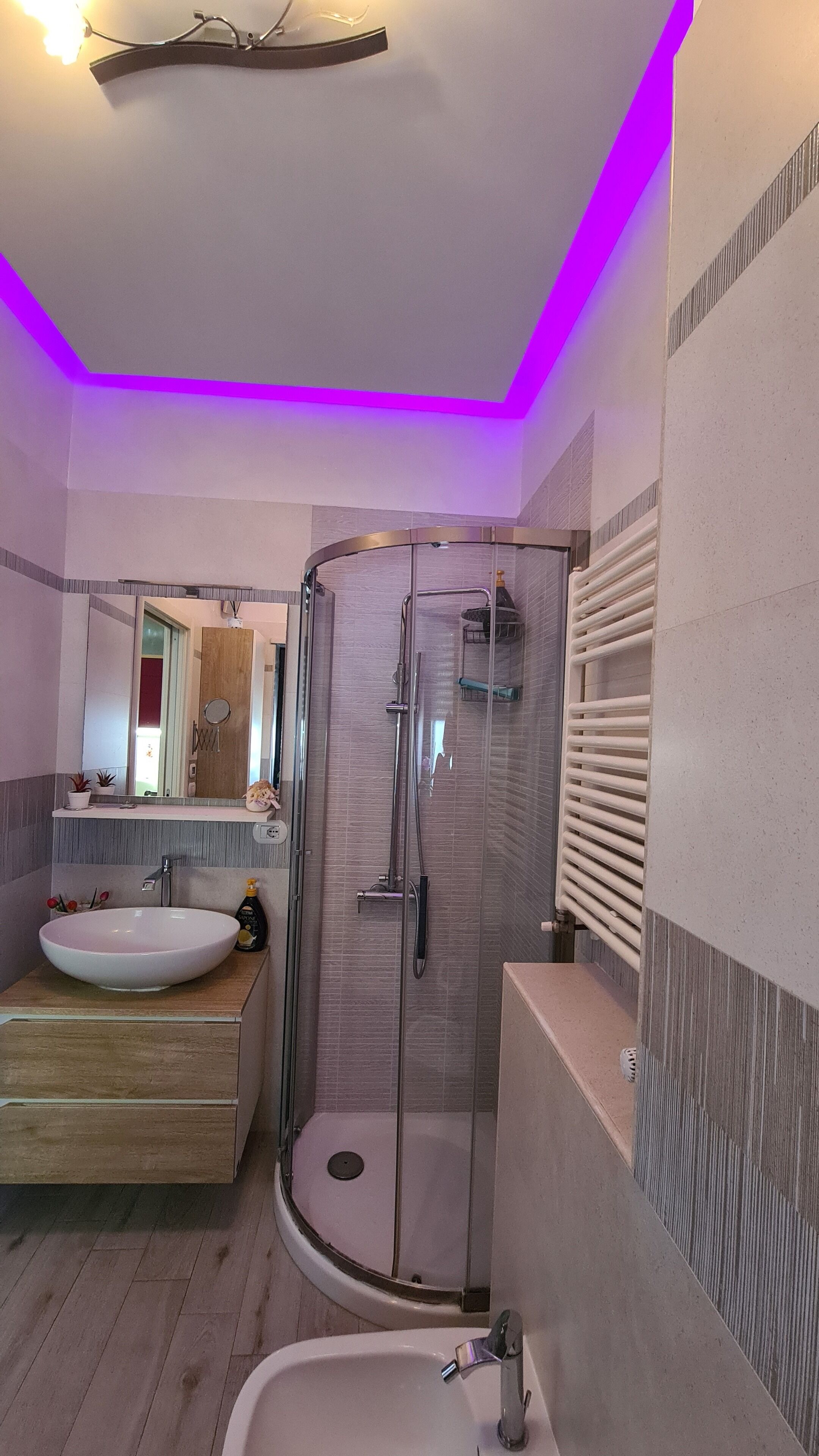 Dusche, Haartrockner, Bidet, Handtücher