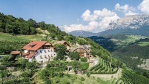 A hillside village with traditional wooden houses, terraced vineyards, and a mountain backdrop.