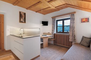 Een compacte kamer met een kitchenette, een bed, een televisie en een raam met uitzicht.