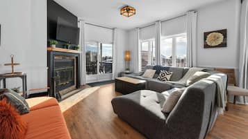 Télévision, cheminée, jeux vidéo, lecteur de DVD