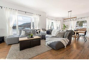 TV, fireplace, video games, books