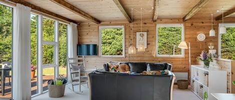 Televisión y chimenea