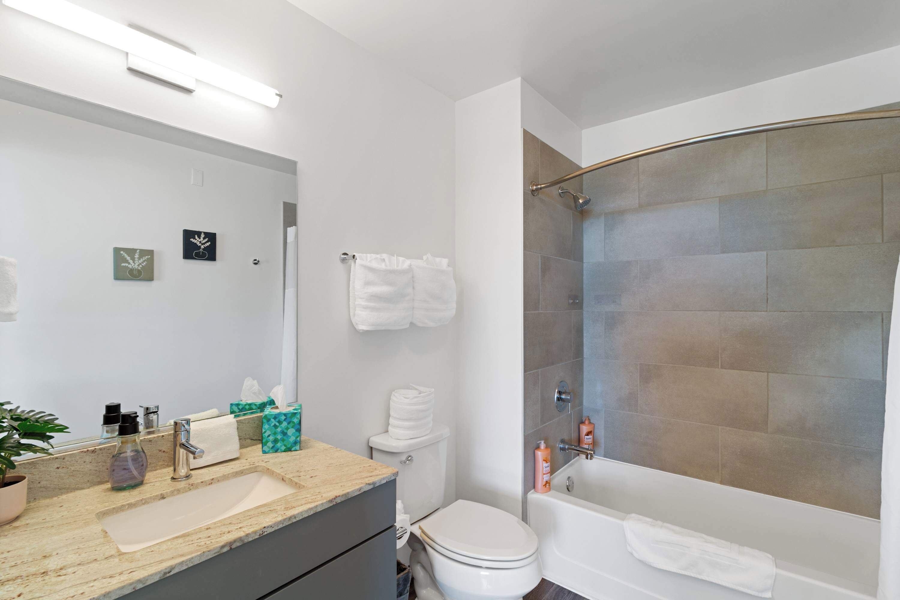 Shower, hair dryer, soap, shampoo