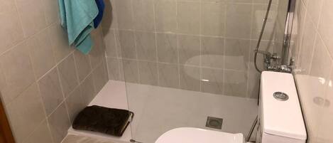 Douche, sèche-cheveux, serviettes fournies, papier toilette