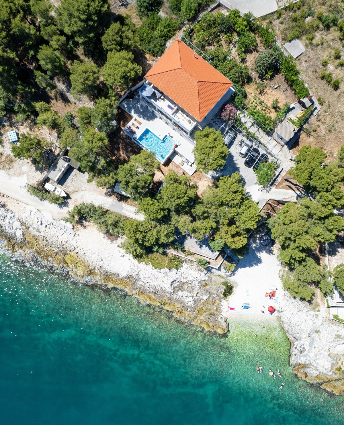 Imagen de perfil del propietario o de la propietaria