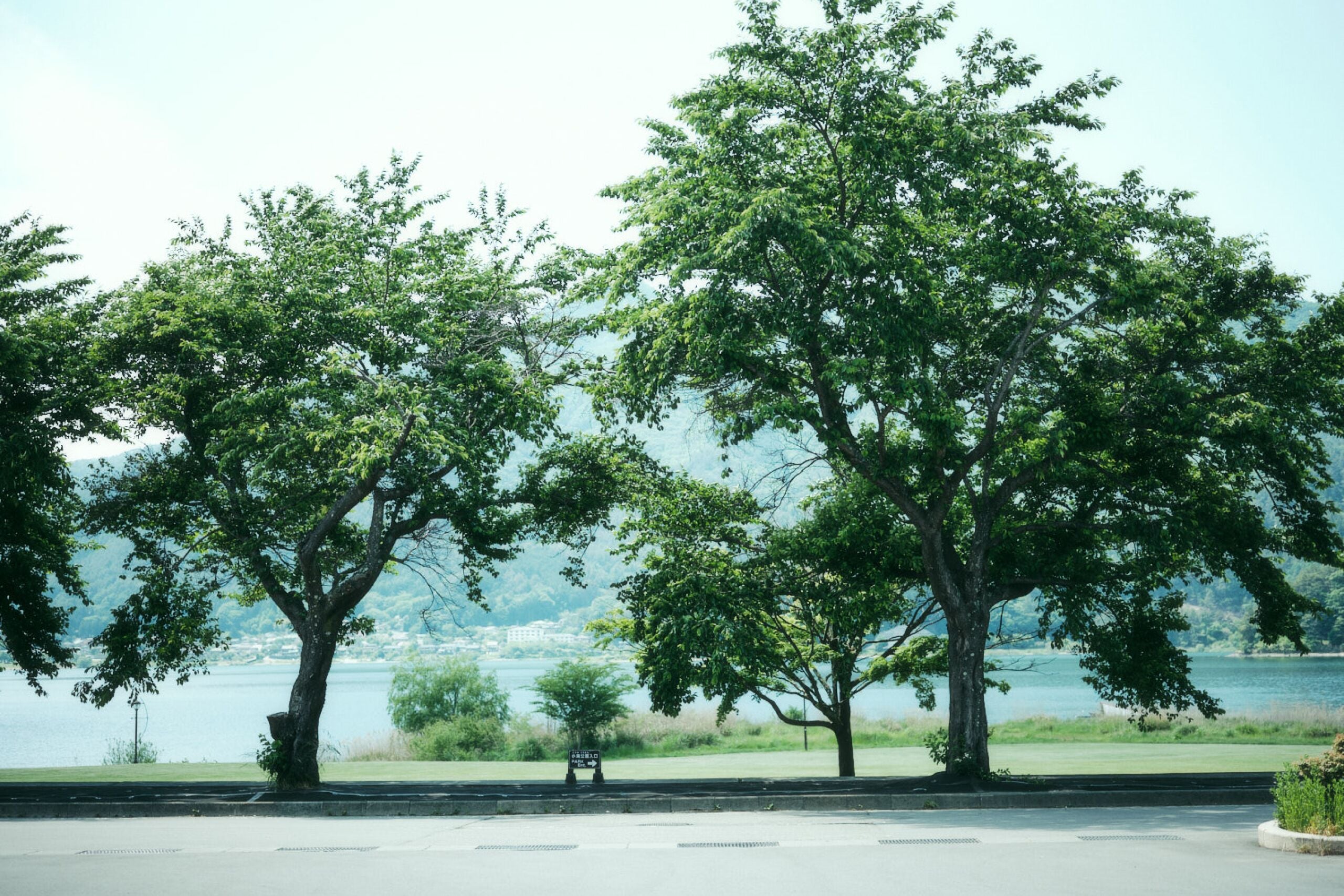 住宿陆地景观