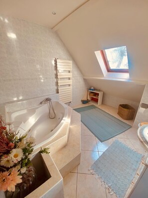 Shower, hair dryer, toilet paper