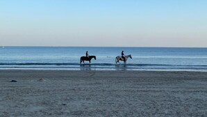 Two horses and riders on a beach near the water.