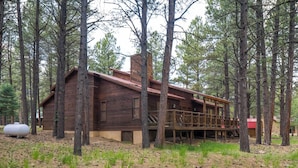A rustic cabin surrounded by tall pine trees. - Conchas Cabin by Velo (Angel Fire)