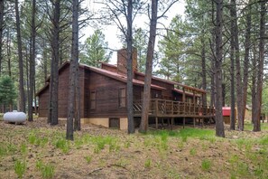 A rustic cabin surrounded by tall pine trees.