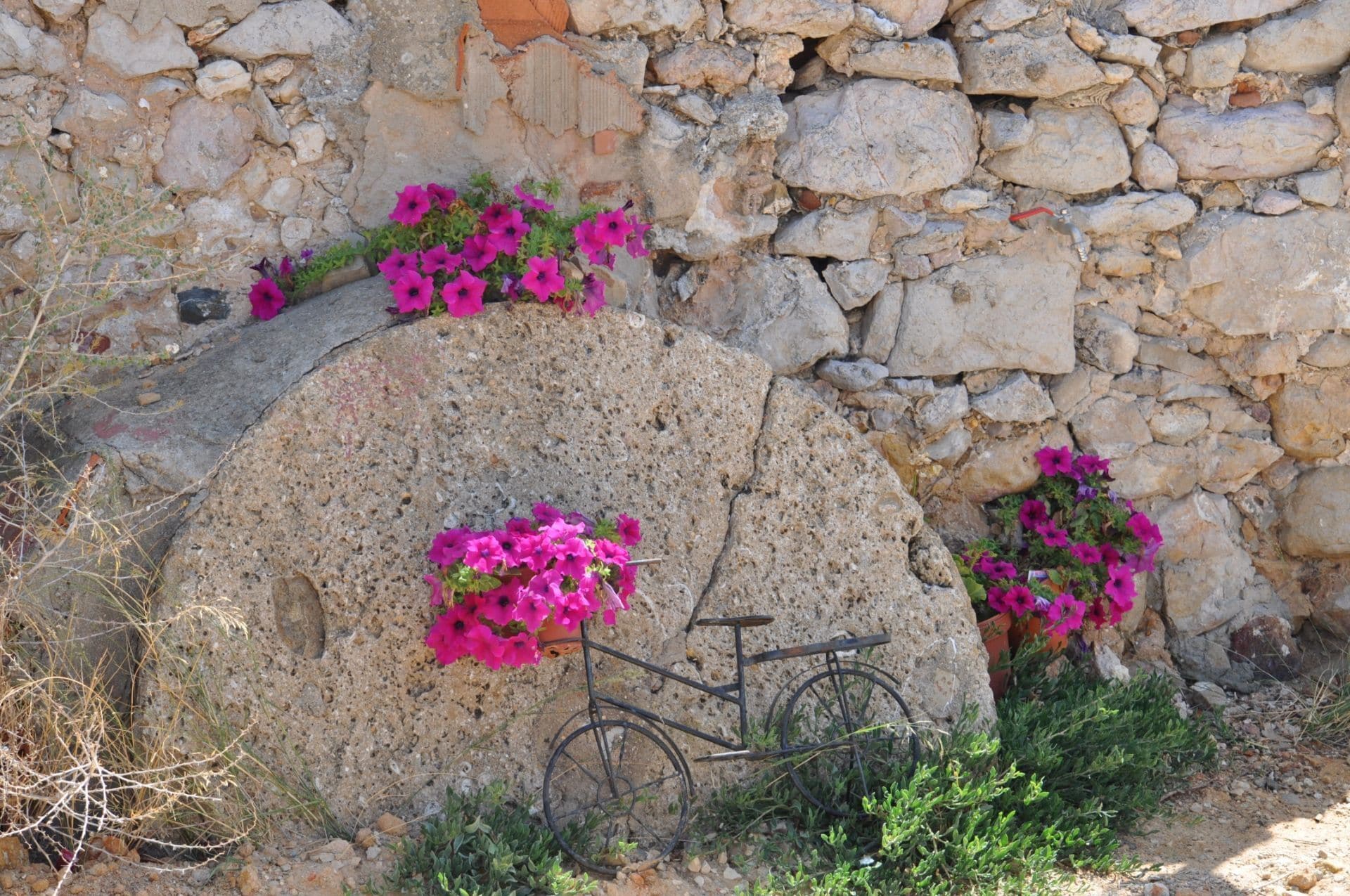 A stone wall with a bicycle leaning against it and pink flowers growing in the crevices.