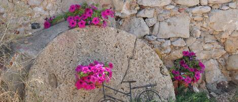 A stone wall with a bicycle leaning against it and pink flowers growing in the crevices.