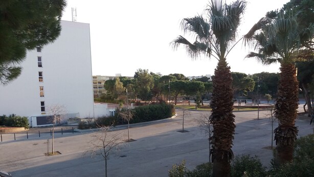 A parking lot with palm trees and a white building in the background. - Studio for 2, fully equipped, loggia, park view, city center. (Balaruc-les-Bains)