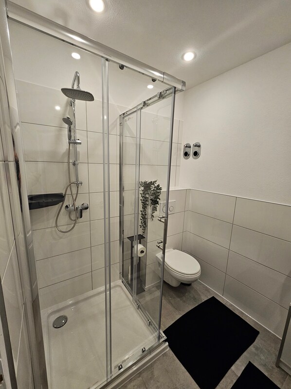 Shower, free toiletries, hair dryer, towels