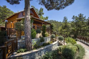 Exterior - Three charming log cabins in a gated property at the beautiful Troodos mountain (Spilia)