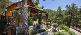 Three charming log cabins in a gated property at the beautiful Troodos mountain
