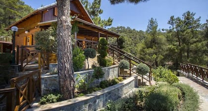 Three charming log cabins in a gated property at the beautiful Troodos mountain