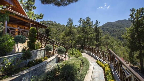A wooden building with a stone pathway leading to a wooden deck, surrounded by lush greenery and trees. - Three charming log cabins in a gated property at the beautiful Troodos mountain (Spilia)