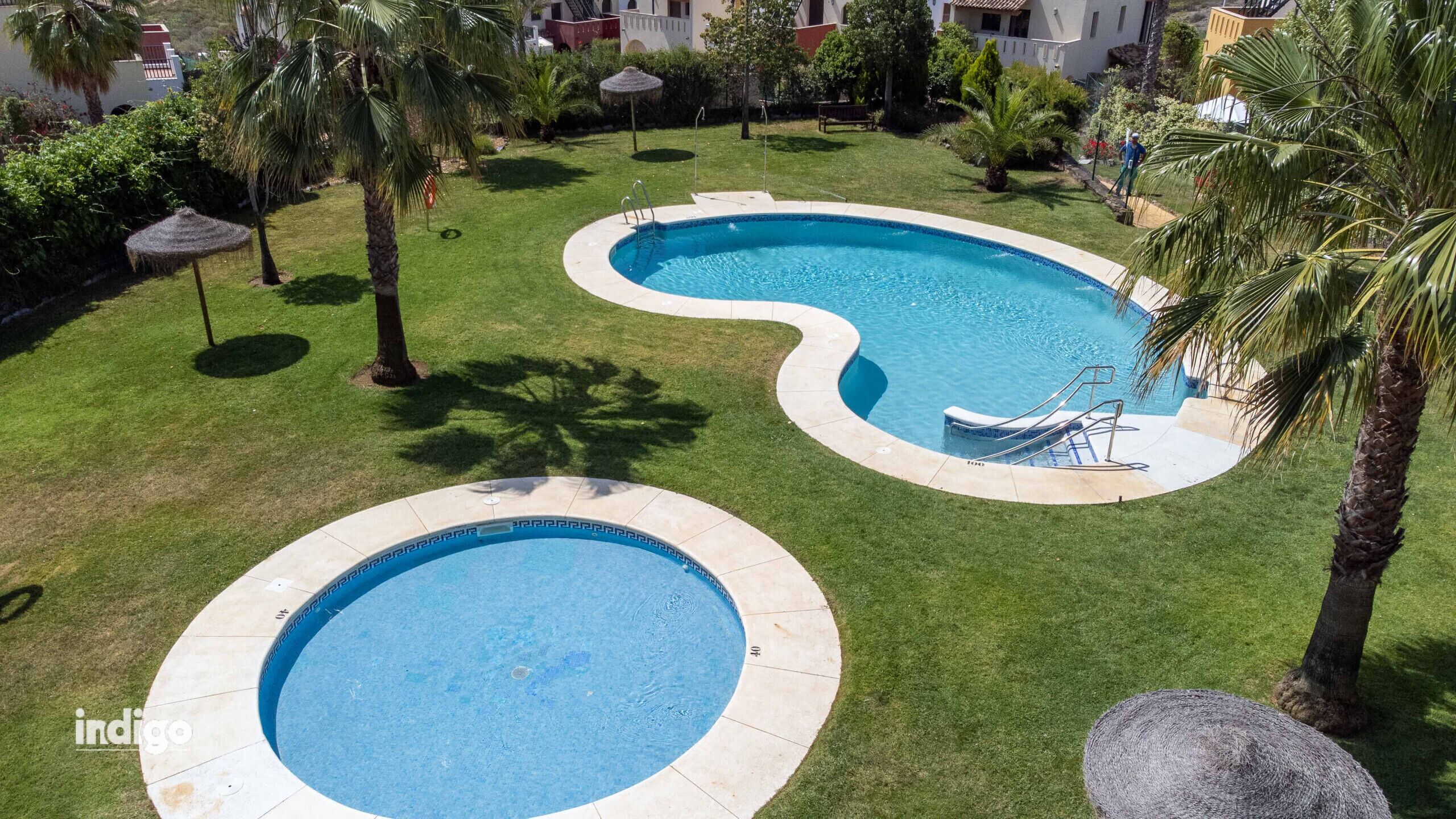Une piscine au design ondulé, entourée d’une pelouse bien entretenue et de palmiers.
