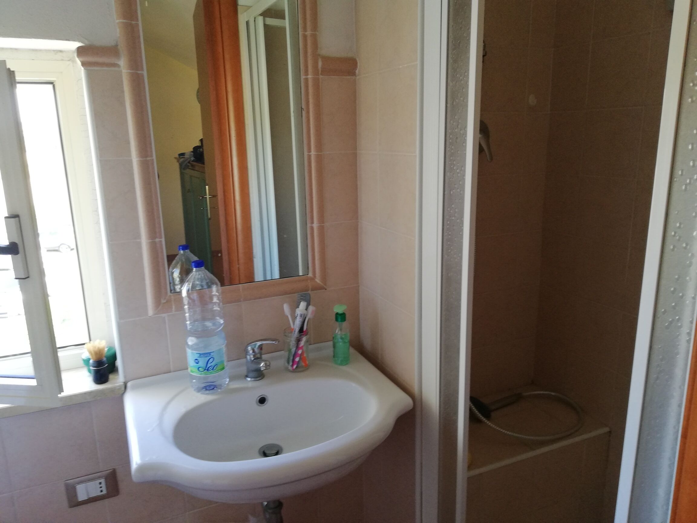 Shower, bidet
