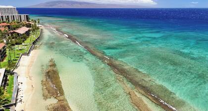Large Maui Getaway next to Beach and Ocean
