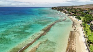A coastal view with clear turquoise waters, a sandy beach, and a row of houses along the shore.
