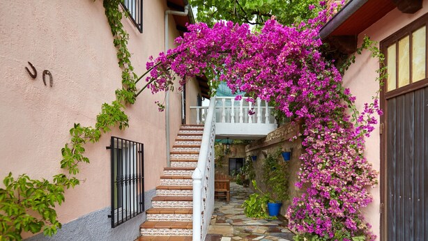 A narrow stone pathway leading to a staircase with a white railing, surrounded by lush greenery and vibrant pink flowers. - Country House 'Cortijo De Las Flores' with Shared Pool, Terrace and Garden (La Iruela)