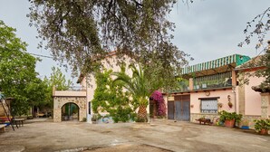 A courtyard with a palm tree, potted plants, and a play area.
