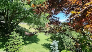 Un jardin avec différentes espèces d’arbres, une pelouse et un ciel dégagé.