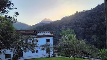 Blick auf den Garten