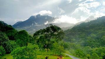 Minibar, décoration personnalisée, ameublement personnalisé, bureau